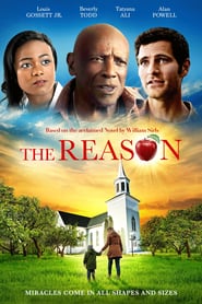 The Reason