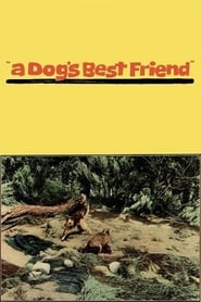 A Dog’s Best Friend