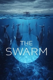 The Swarm